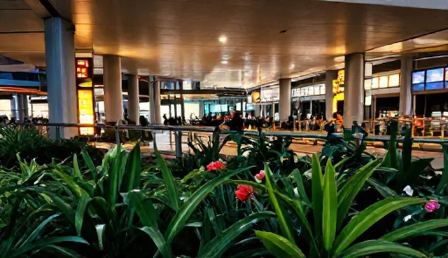 网站建设风格,如何契合用户实际需求